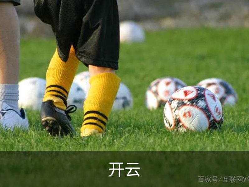 开云概况