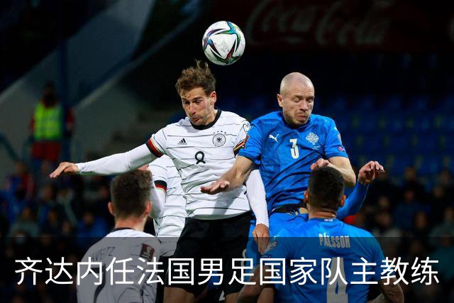 齐达内任法国男足国家队主教练